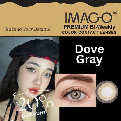 Imago Dove Gray Contact Lenses - ORIGINAL COLLECTION