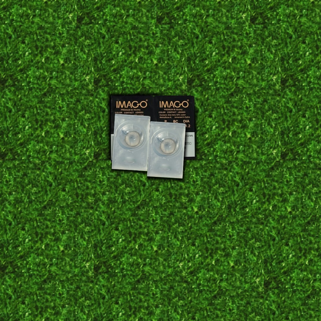Imago Warm Gray Contact Lenses - ORIGINAL COLLECTION