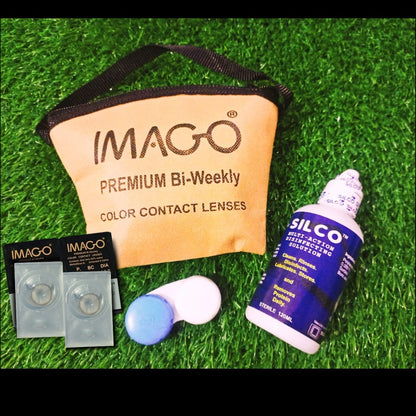 Imago Warm Gray Contact Lenses - ORIGINAL COLLECTION
