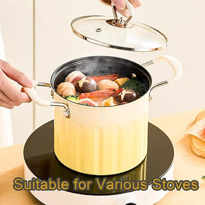 Double Color Deep Frying Pot 3 Liter