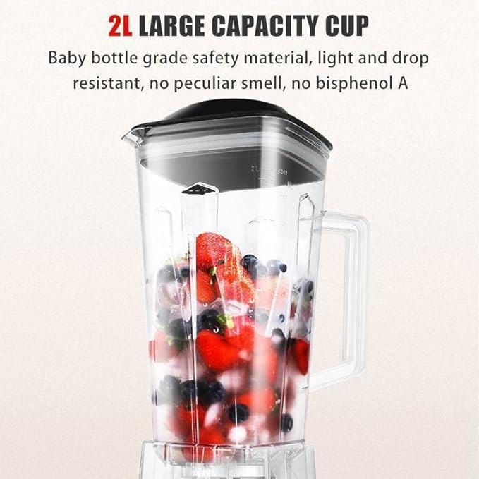 Electric Juicer/Blender