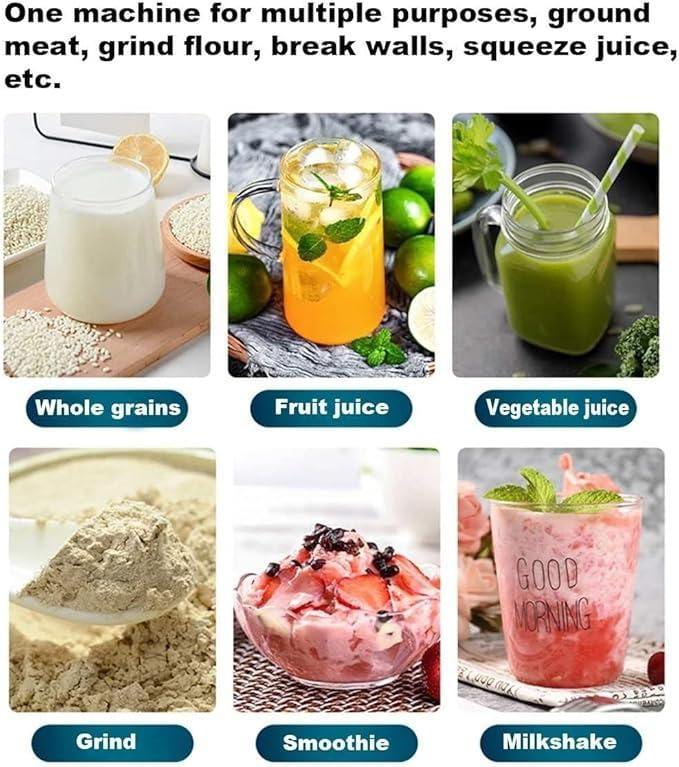 Electric Juicer/Blender