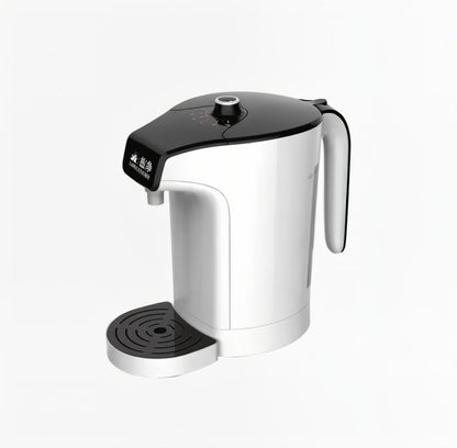 Instant Water Heating Electric Kettle
