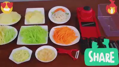 10 in 1 Vegetable Cutter Mandolin Slicer