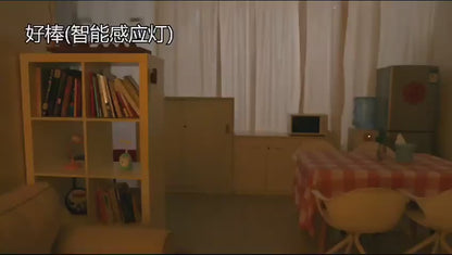 Wooden LED Wall Lamp With Motion Sensor-Intelligent Induction Light